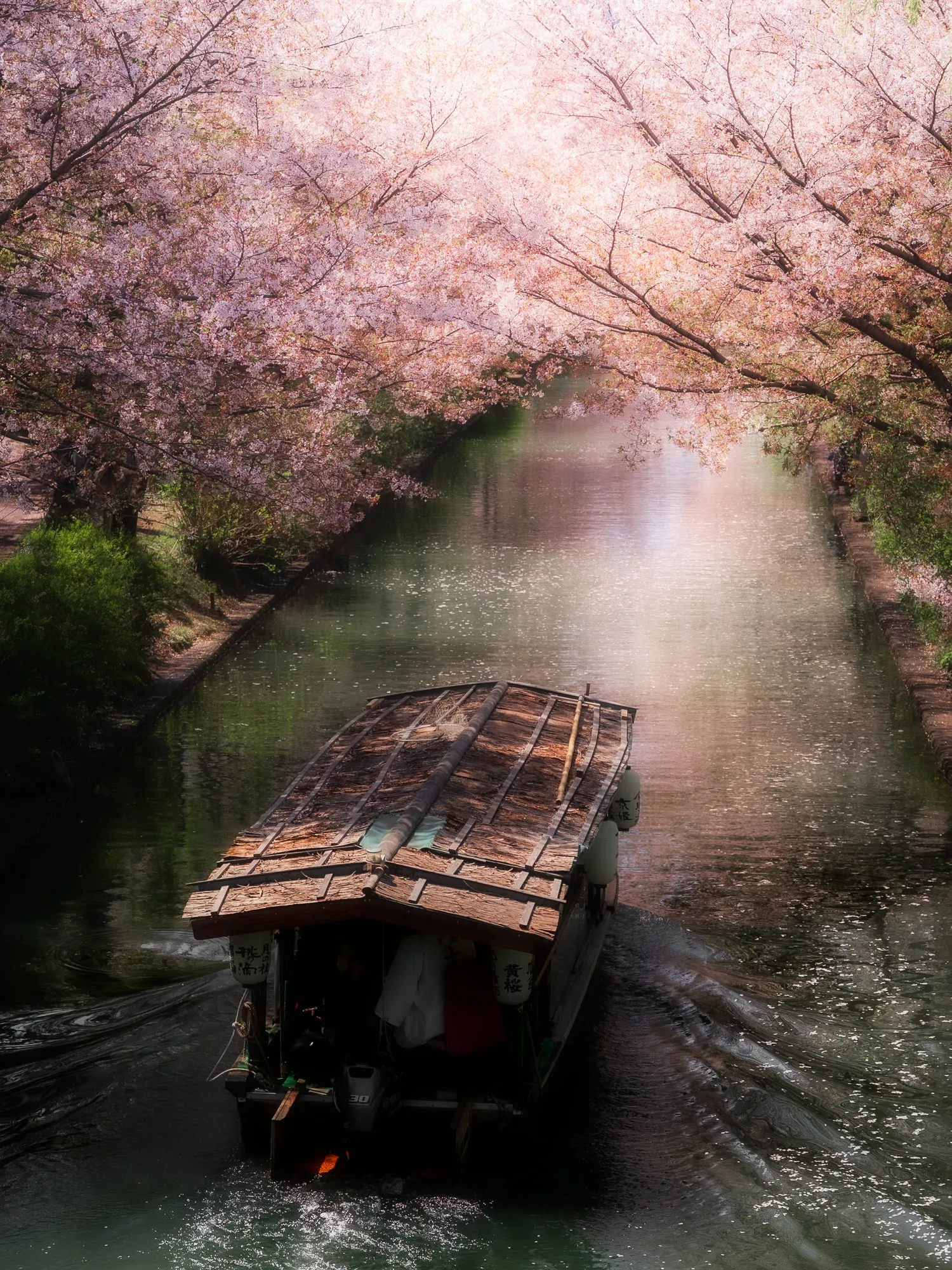 満開の桜のトンネルを屋形船が進む