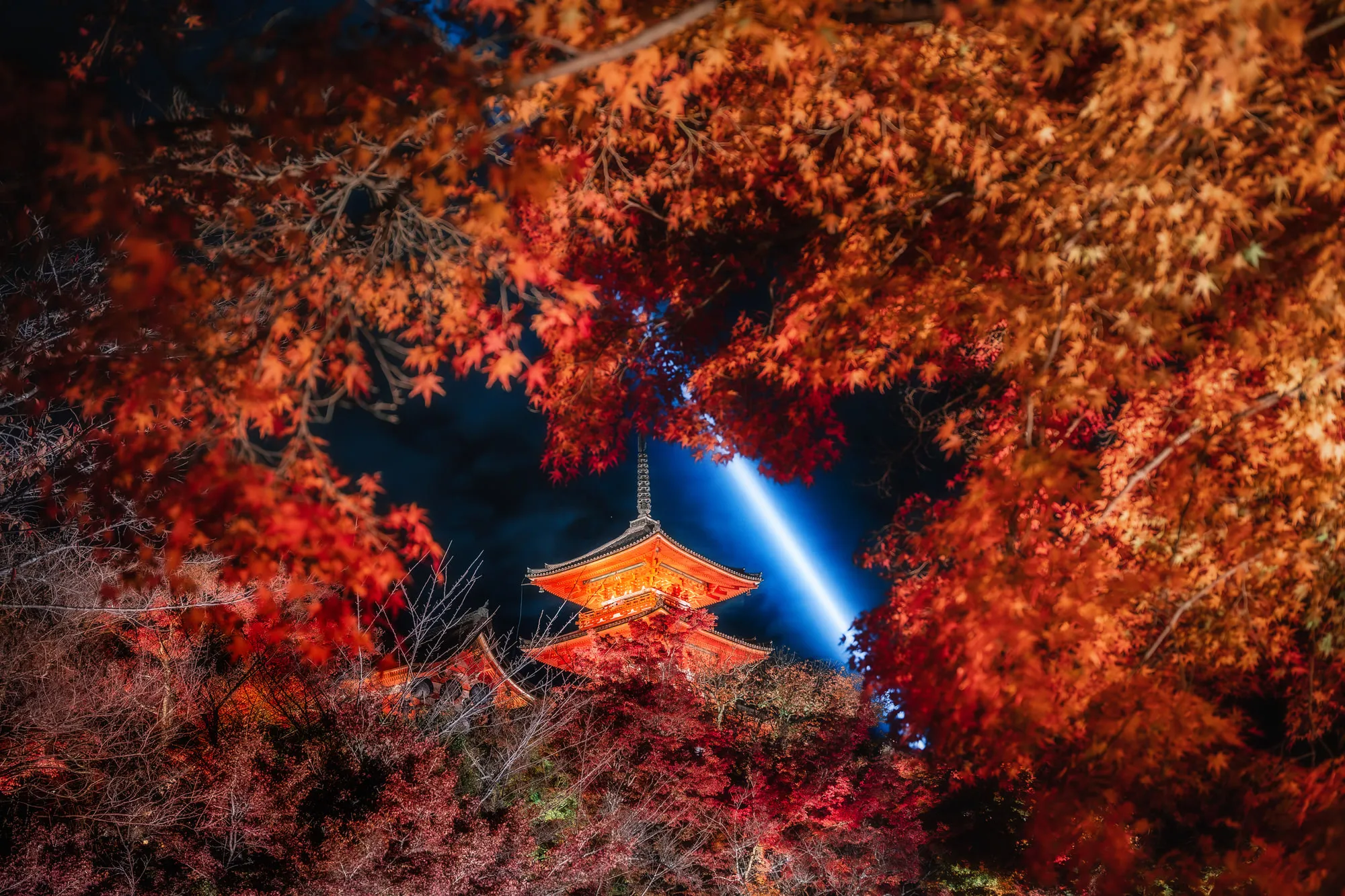 ライトアップされた紅葉と塔、夜空を裂く光