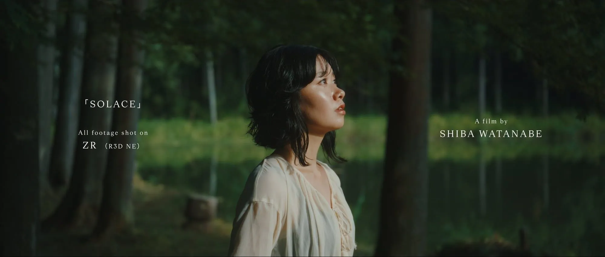 Nikon ZR で撮影した動画作例「SOLACE」のワンカット