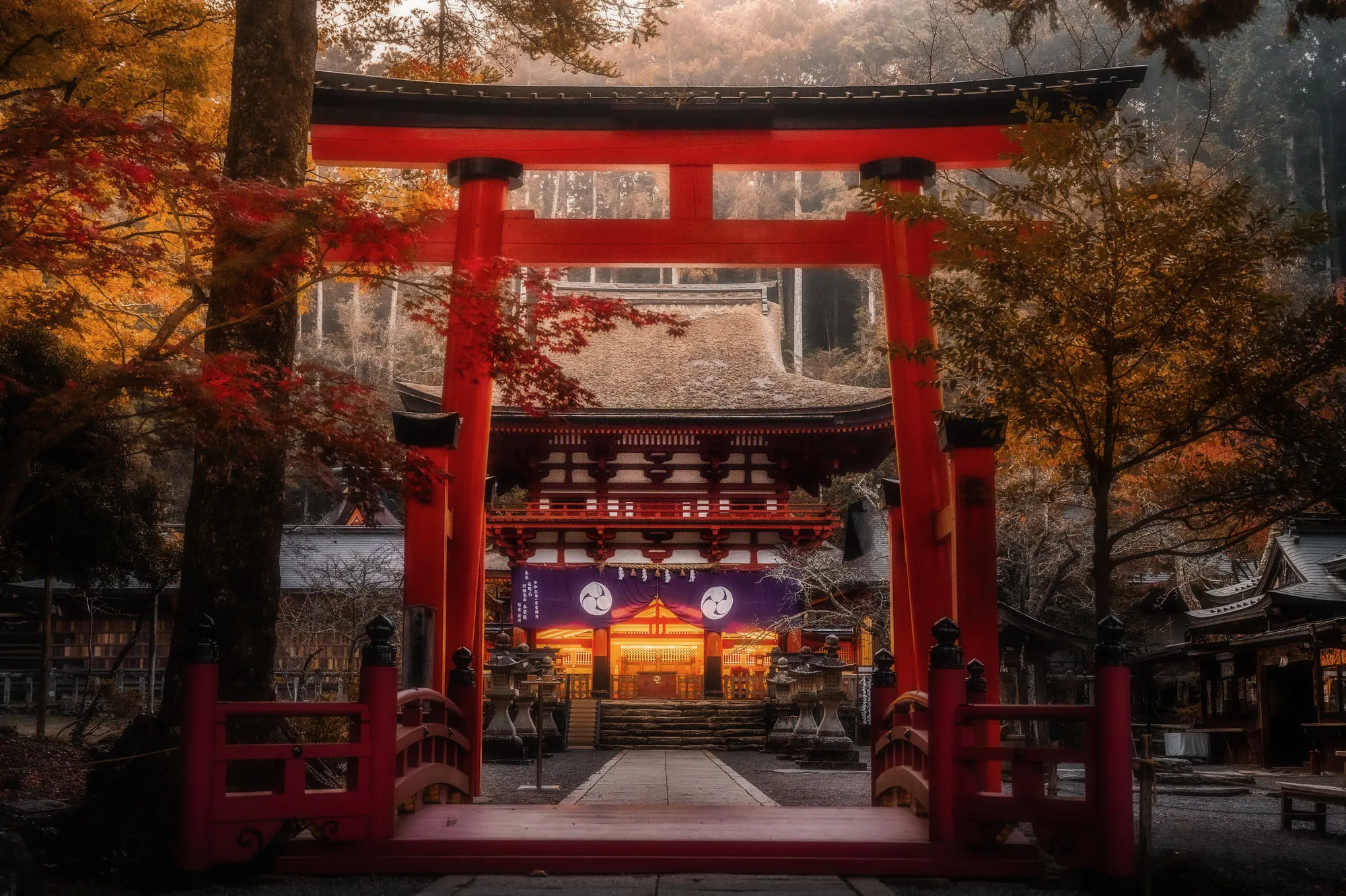 紅葉に囲まれた鳥居と社殿