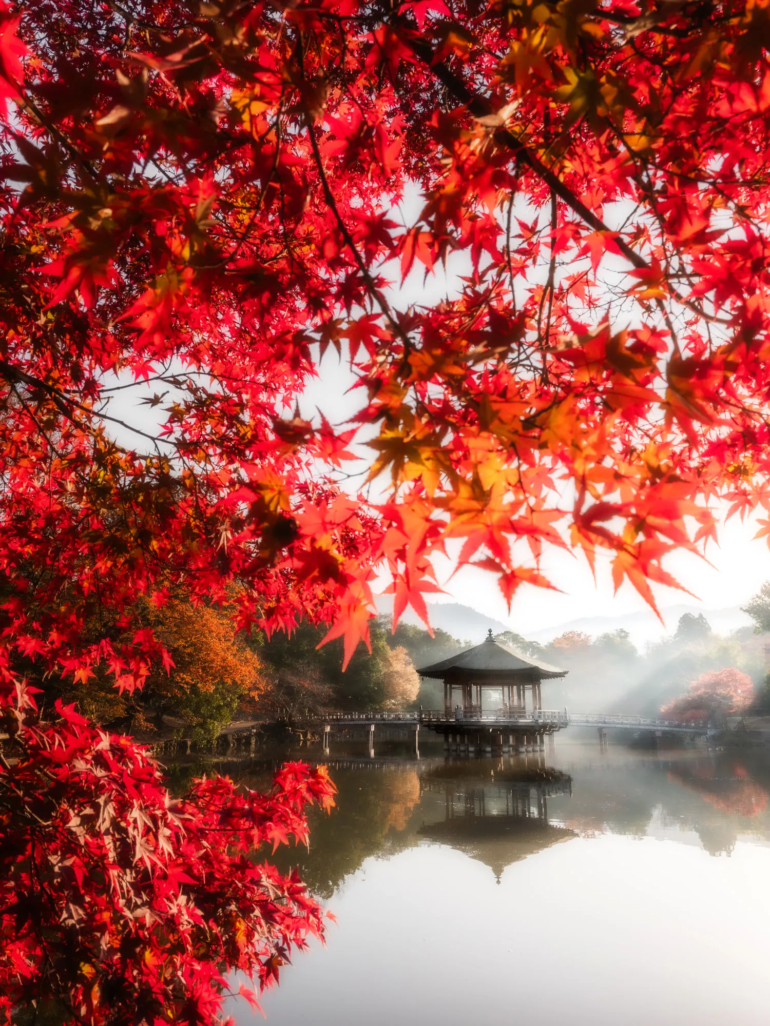 池畔の東屋と紅葉が水面に映り込む