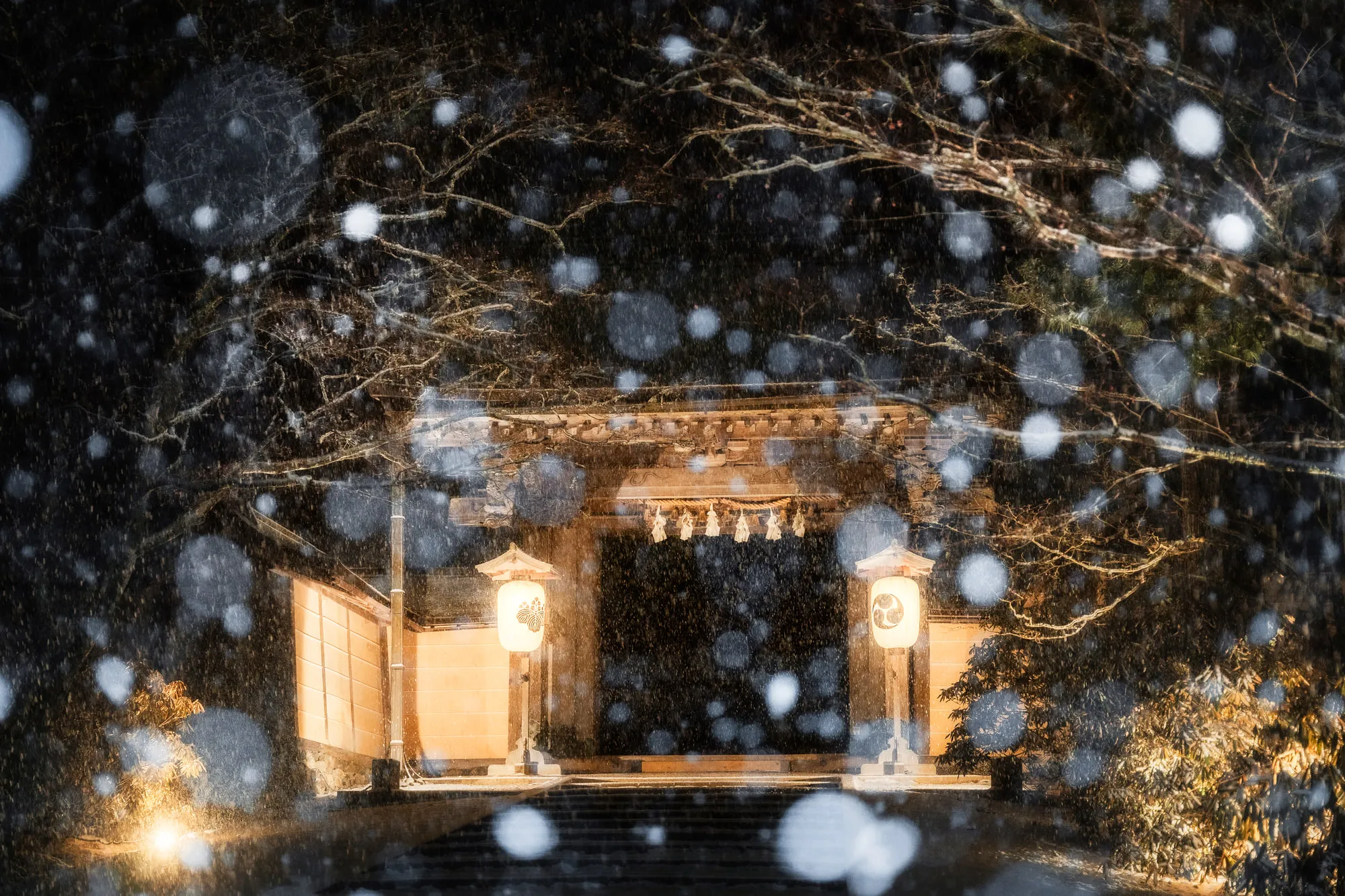 雪の舞う夜、灯りに照らされた門